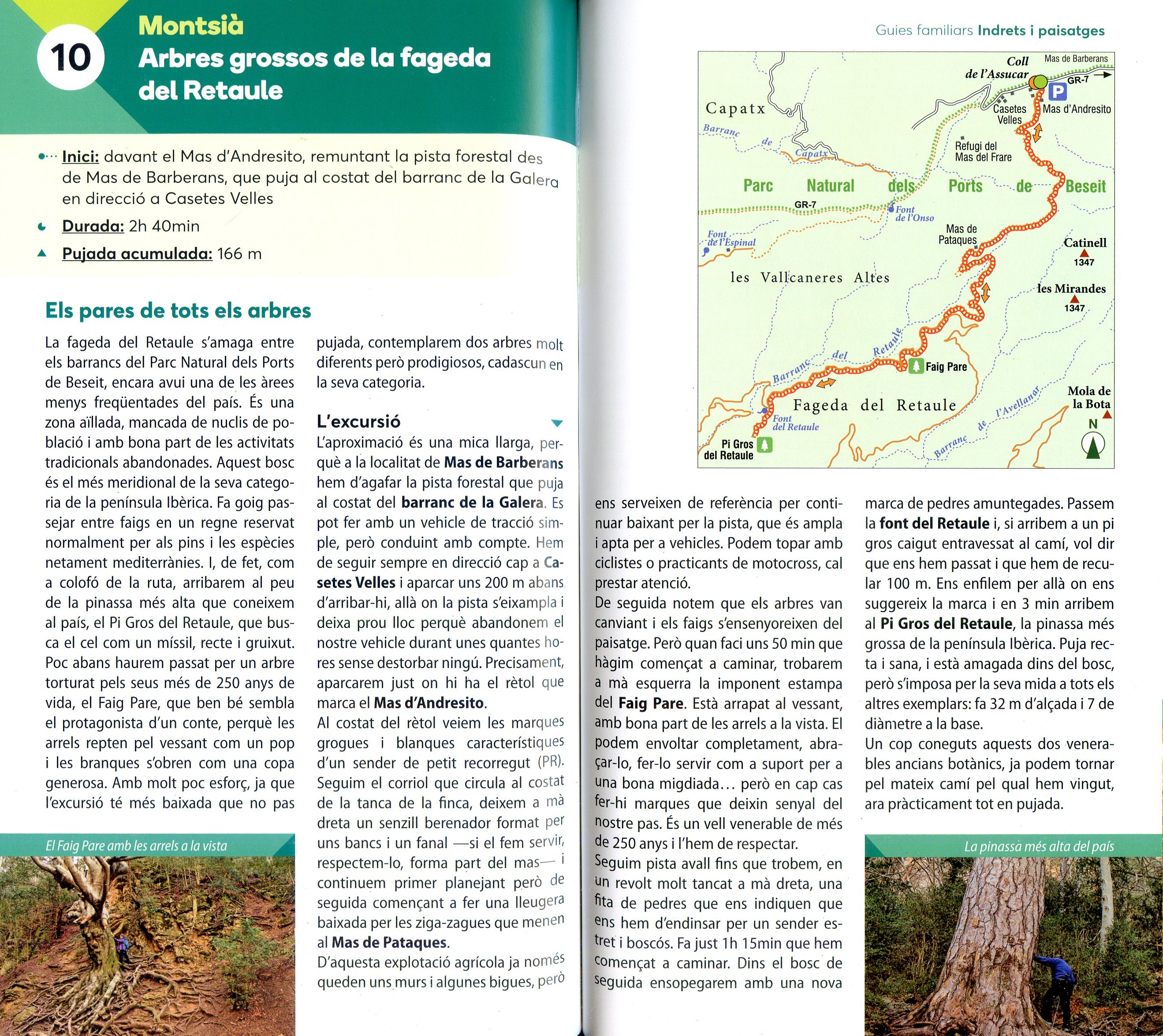 Arbres monumentals de Catalunya - Miniatura 3